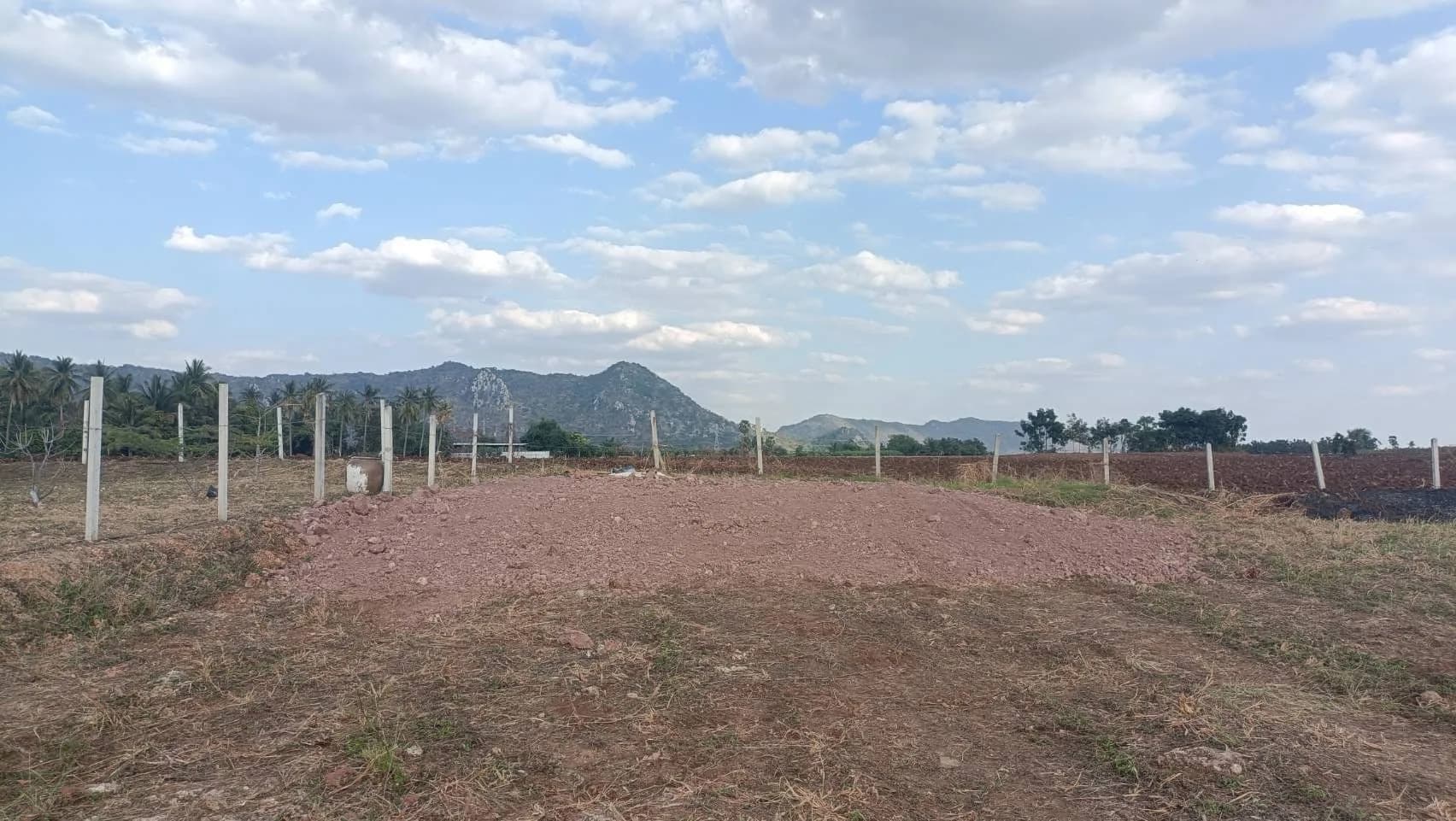 Reale Aufnahme der Projektfläche in Takhli, Nakhon Sawan mit offener Fläche, Begrenzungen, Palmen und Hügeln im Hintergrund